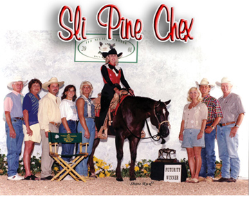 sli pine chex